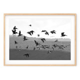 Estuary - Picture Frame Photograph on Paper 