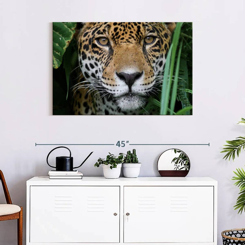 Brampt Amazon Jungle Jaguar, 24" H x 36" W