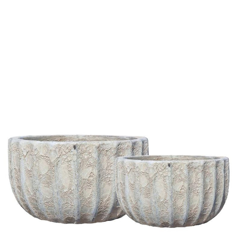 Salette Ceramic Pot Planter