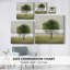 Awakening Tree II sur impression sur toile-1082292909