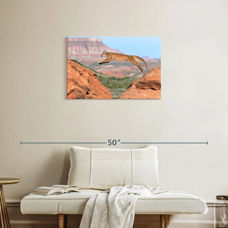 Brampt Mountain Lion, 20'' H x 30'' W