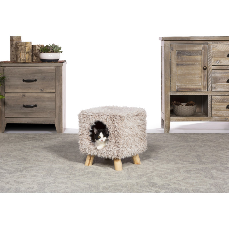 Habitation pour chat 14 "Bojorquez Kitty Power Paws