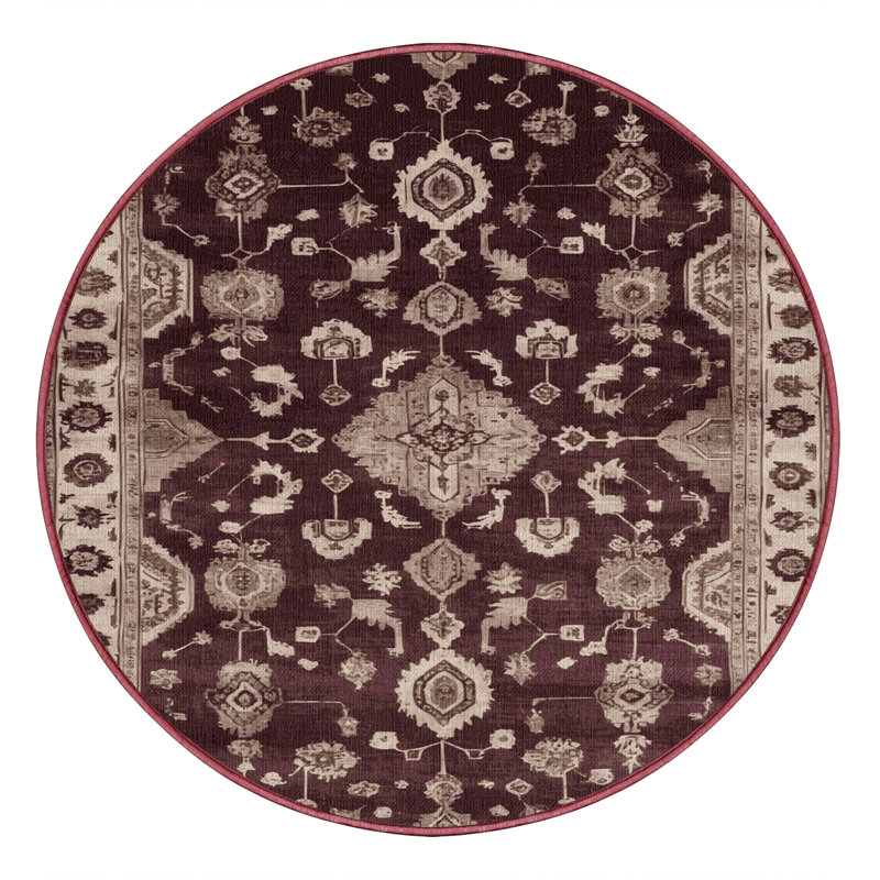 Machine Washable Overdyed Brown Area Rug, Round 5'