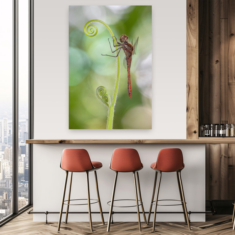 Delicate Dragonfly Spiral Delicate Peaceful Serene Dragonfly Nature Plant Wall Art Print 1 Piece Wrapped Canvas Wall Art