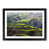 Black Framed selected