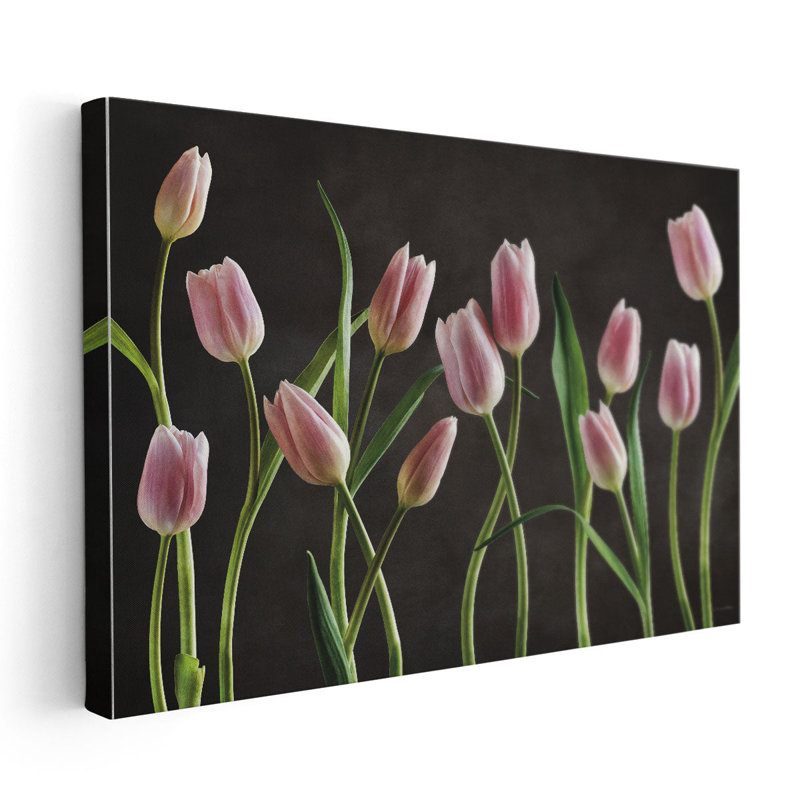 «Spring Tulips», reproduction d'art sur toile, H 20 po x l 30 po