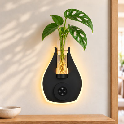 Terrariums muraux de propagation de plantes avec lumières, 1 pce