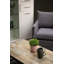 Prairie Grove Armchair