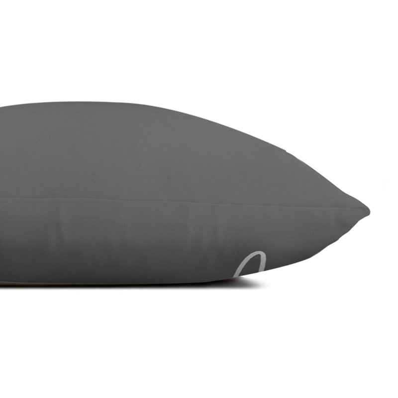  Outdoor Rectangular Pillow Cover & Insert, Gray/White