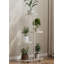Iron 4 Tier Plant Stand