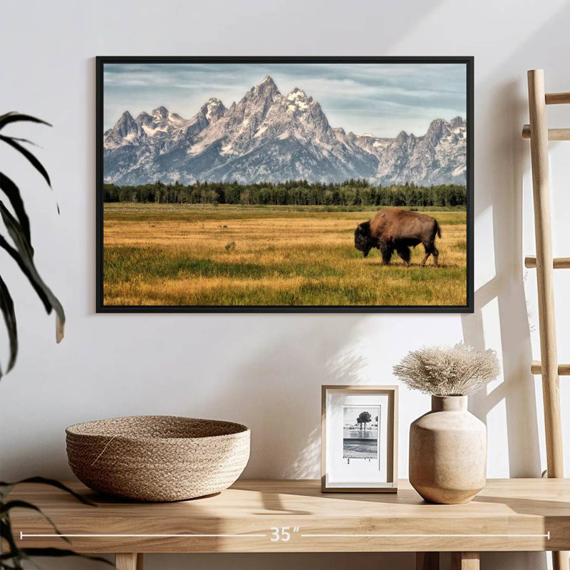 Bull Bison à Grand Teton, 25 po x 17 po, Cadre flottant noir
