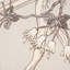Edith Fabric