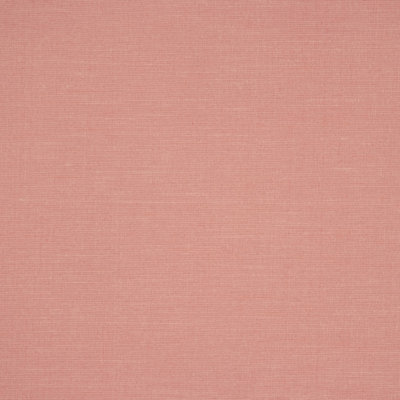 Swank Fabric