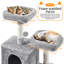 181.5cm Height  Cat Tree-1109756221