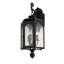 10" Wide Jonquil Wall Sconce