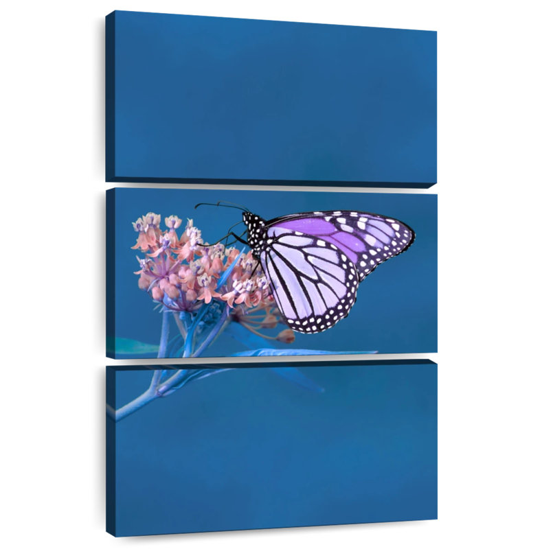 Brampt Purple Monarch Butterfly