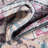 Njay Oriental Indoor Rug-384985021
