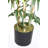 Panama 72" Artificial Bamboo Tree-1435632682