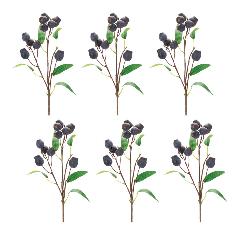 Tiges de prune