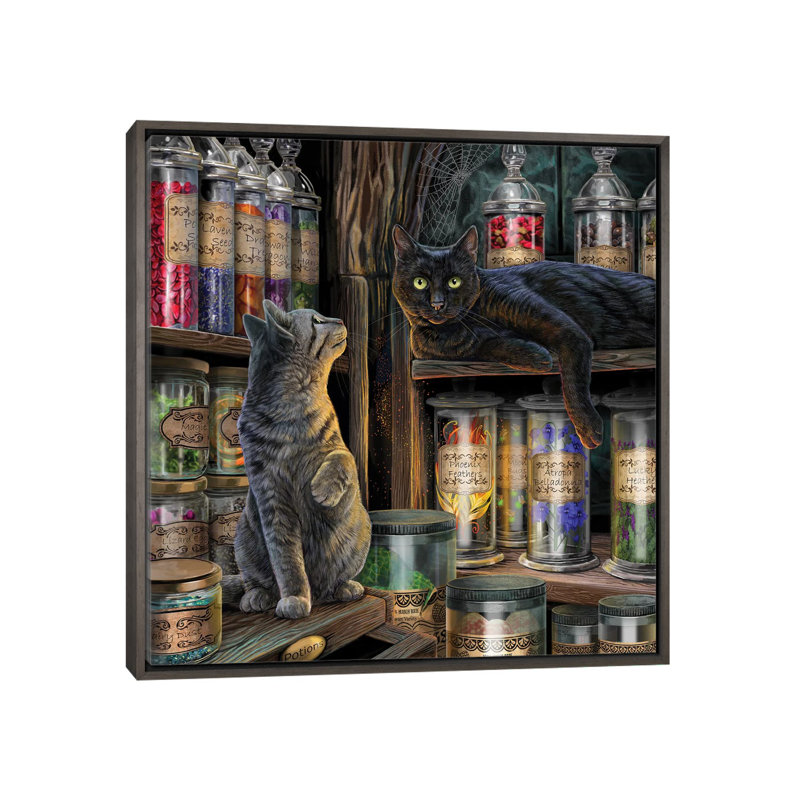 «Magical Emporium» par Lisa Parker - impression d'art graphique, Toile encadrée de bois rustique foncé, Pas de tapis