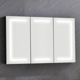 Camrynn 48'' W Mirrored Medicine Cabinet with LED Lights
