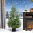 2 Piece Christmas Tree Set With Pot Base