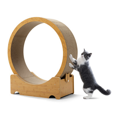 Cat Exercise Wheel for Indoor Cats, Cardboard Cat Running Wheel with Scratcher, Reversible Scratch Pad