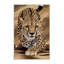  Tapis lavable guépard soudanais à gros chats-650732987
