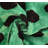 Polka Dots Velvet Reversible Throw Pillow