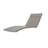 Cara IndoorOutdoor Chaise Lounge Cushion-16006330
