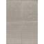 Area Rug in Gray