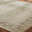Premo Wool Oriental Area Rug in Ivory-1951873632