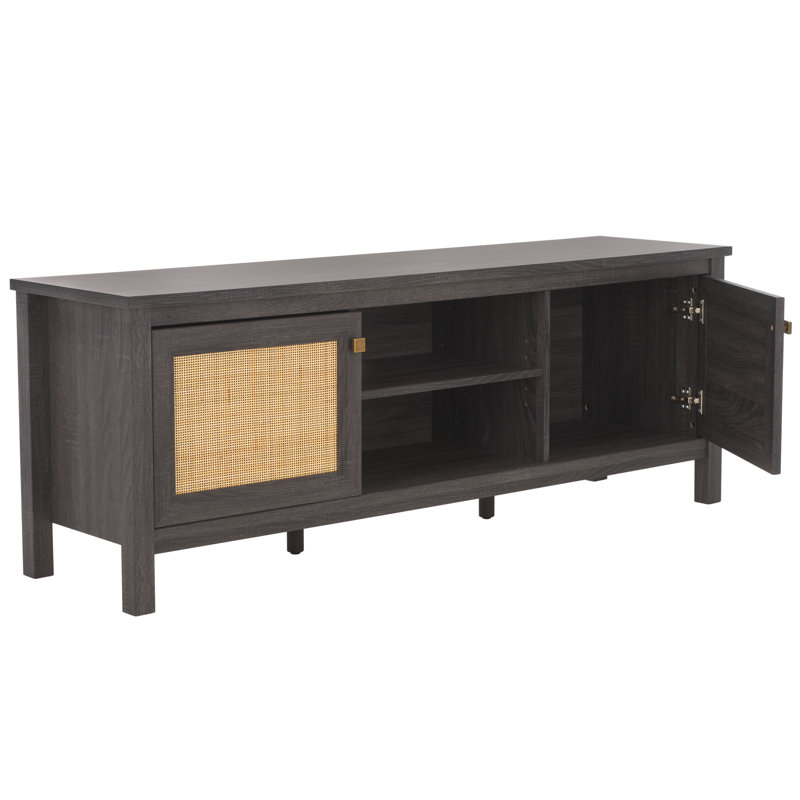 Alyosha 2 Door TV Stand, Distressed Black