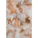 Premium Machine Washable Cerrito AMF526 Paprika Rug