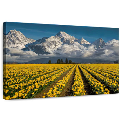 Alvord Flowers In Field