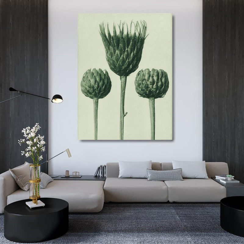 Art sur toile, Blatfeldt, Karl: Serratula Nudicaulis, H 47 po x l 36 po
