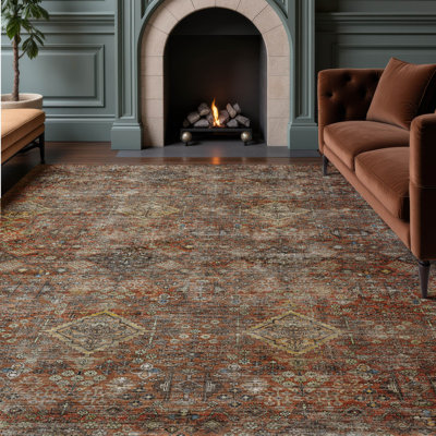 Premium Machine Washable Tirico ATI21 Traditional Rug