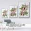 Cardinal Holly Christmas Collection B-1653972433-1653972432