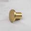 25mm Brushed Brass Disc Knob