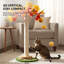 Arbre à chat décoratif de 104 cm (40,9 pouces) avec motif de feuilles d'érable d'automne, recouvert de sisal naturel et orné de feuillage automnal. Il est doté d'un jouet interactif pour l'entretien et le jeu des griffes des chats d'intérieur.