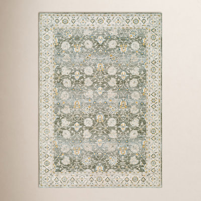 Delyse Oriental Rug