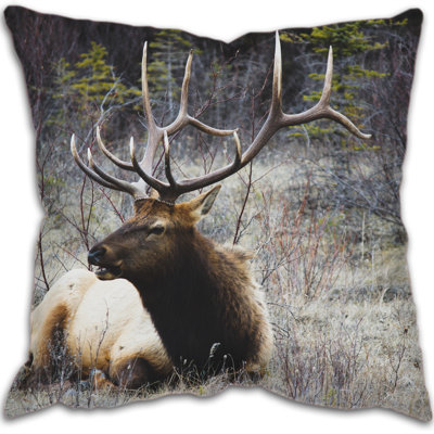 Kendal Square Throw Cushion
