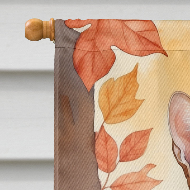 Chat en feuilles d'automne, Oci
