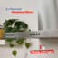 Russell Hobbs RHTCH600B1SS 60CM T Shaped Cooker Hood Stainless Steel-126015192
