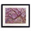 Brooklyn Botanical Gardens in Bloom Framed Print Canvas-65852603-132457482