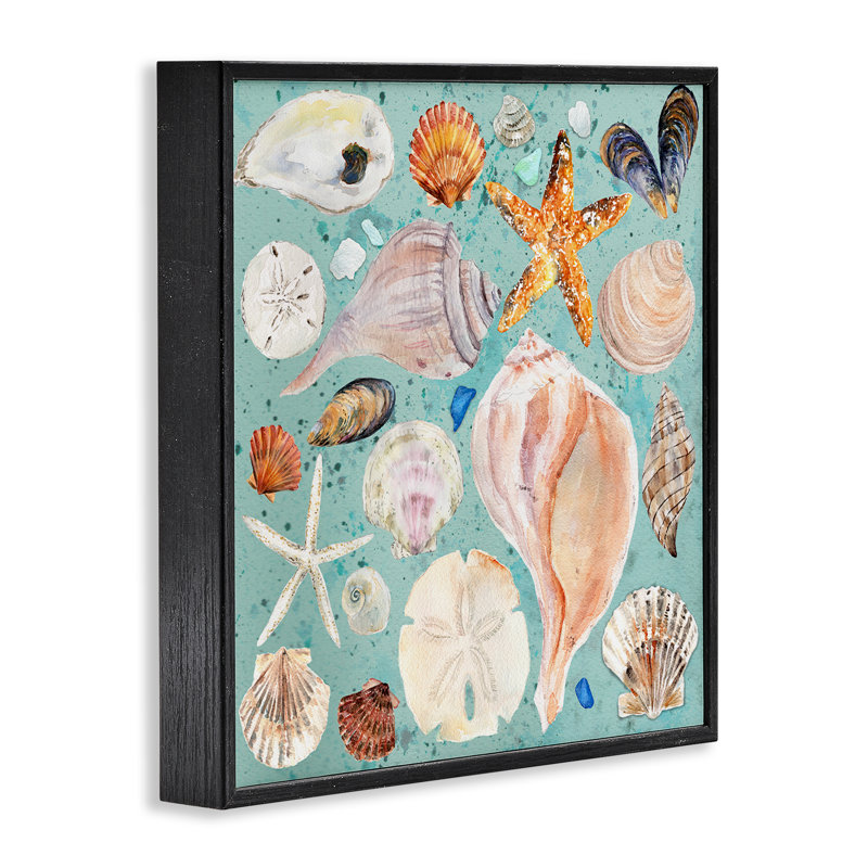 «Seashell», motif de giclées encadrées par Melissa Hyatt, Giclée encadrée noir minuit, H 17 po x l 17 po