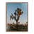 Rustic Walnut Floater Framed is unavailable