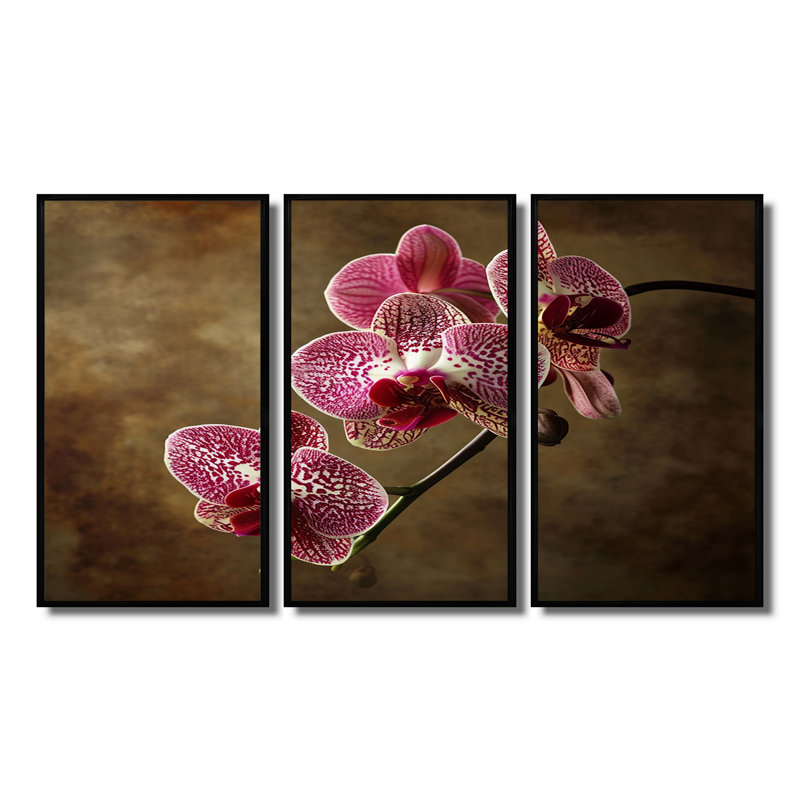 Fleurs d'orchidée fuchsia en gros plan - ensemble de décoration murale orchidée, H 40 po x l 60 po, Noir, noir, noir, noir