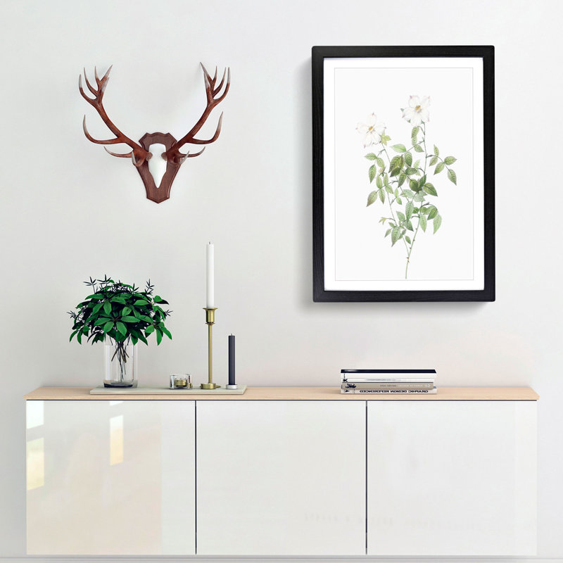 White Blooming Roses by Pierre-Joseph Redoute - Framed Print, Black Framed, 48cm H x 36cm W x 2cm D