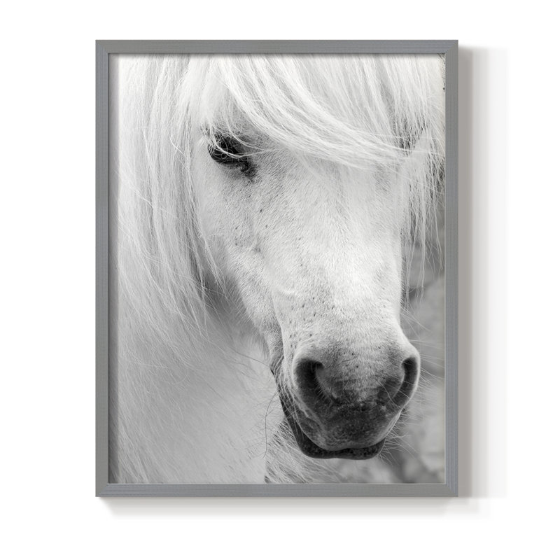«Island Pony I», reproduction encadrée - bois massif, Gris, H 14 po x l 11 po